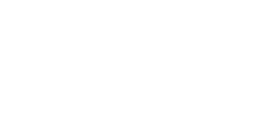 Diversified Sourcing Solutions Logo - White Version